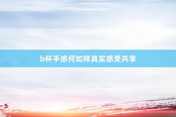 b杯手感何如样真实感受共享