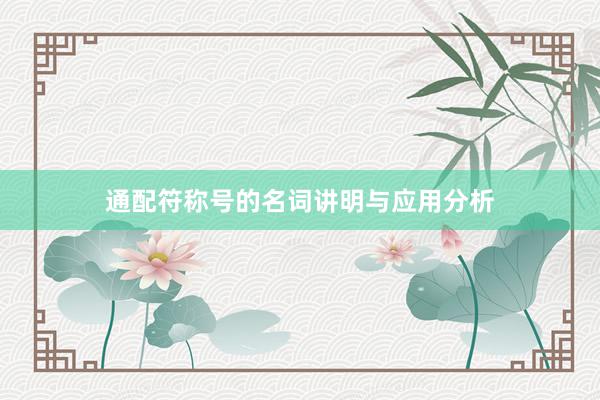 通配符称号的名词讲明与应用分析