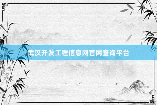 武汉开发工程信息网官网查询平台